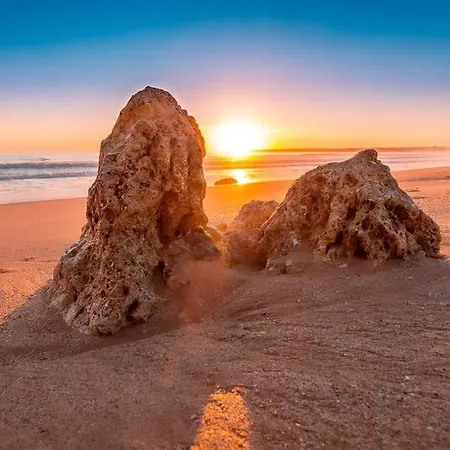 Appartement Welcoming 55 Sqm In With Garden View