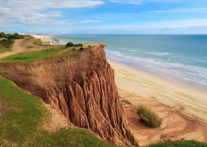 Welcoming 55 Sqm In With Garden View