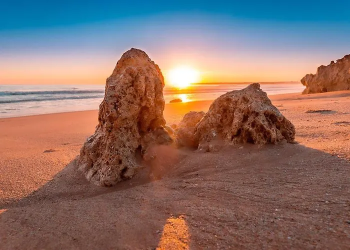 Apartment Welcoming 55 Sqm In With Garden View