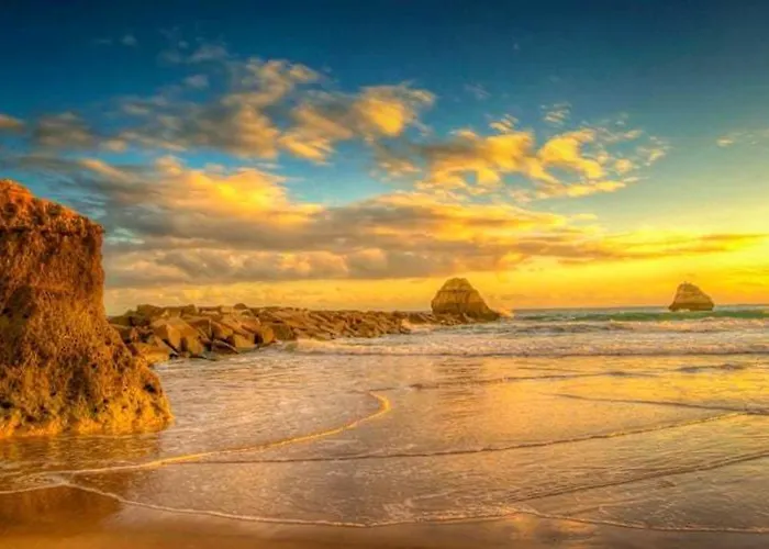 Welcoming 55 Sqm In With Garden View Appartement